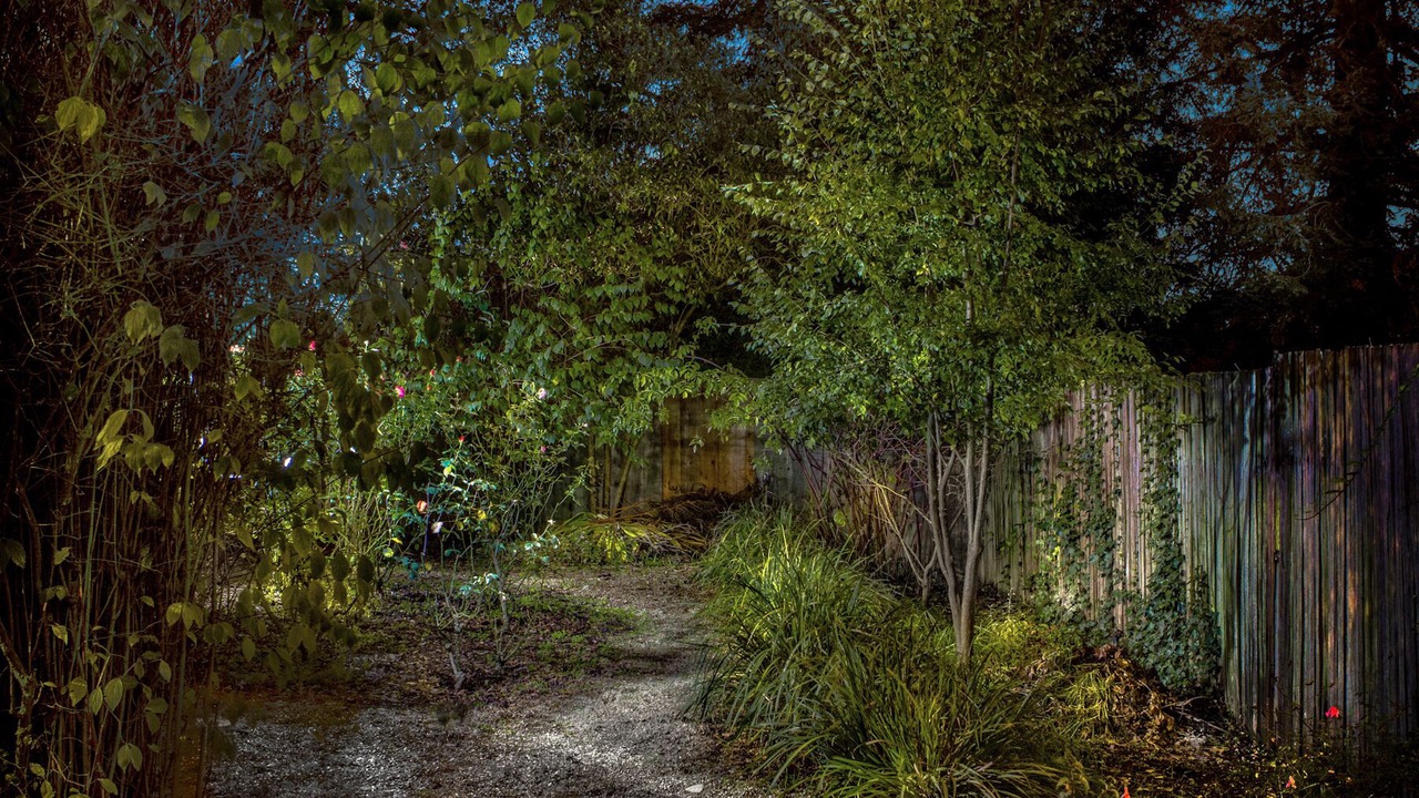 Photo of Outdoor in Berkeley Hills