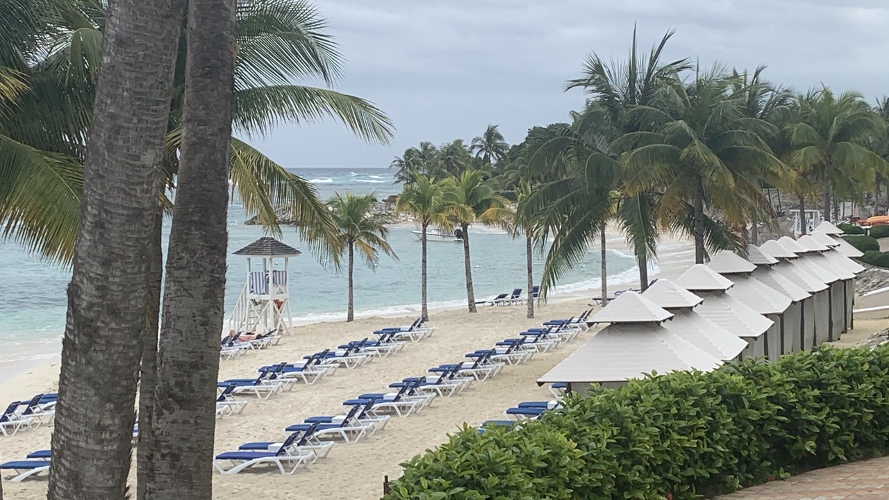 Photo of Others in Montego Bay