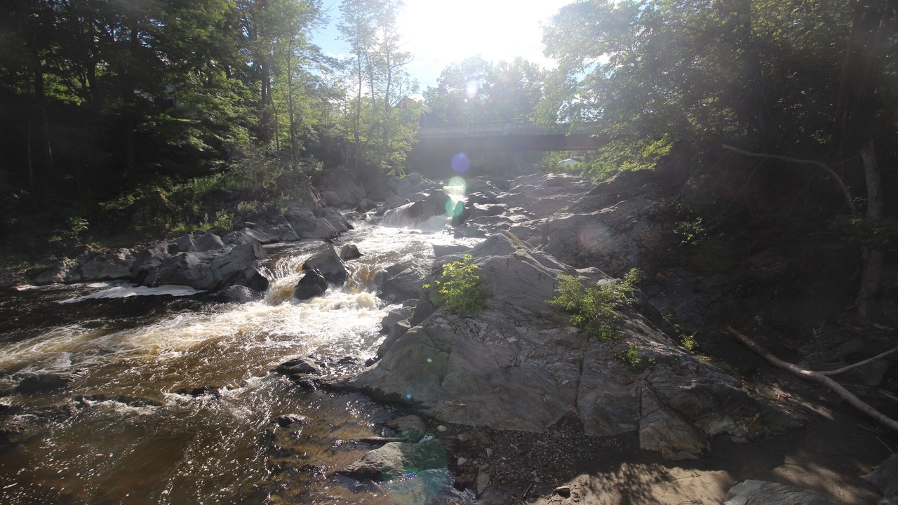 Photo of Others in Bellows Falls
