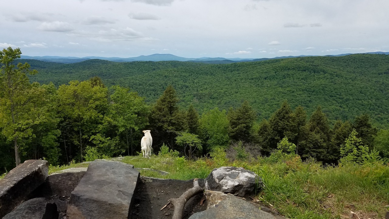 Photo of Others in Bellows Falls