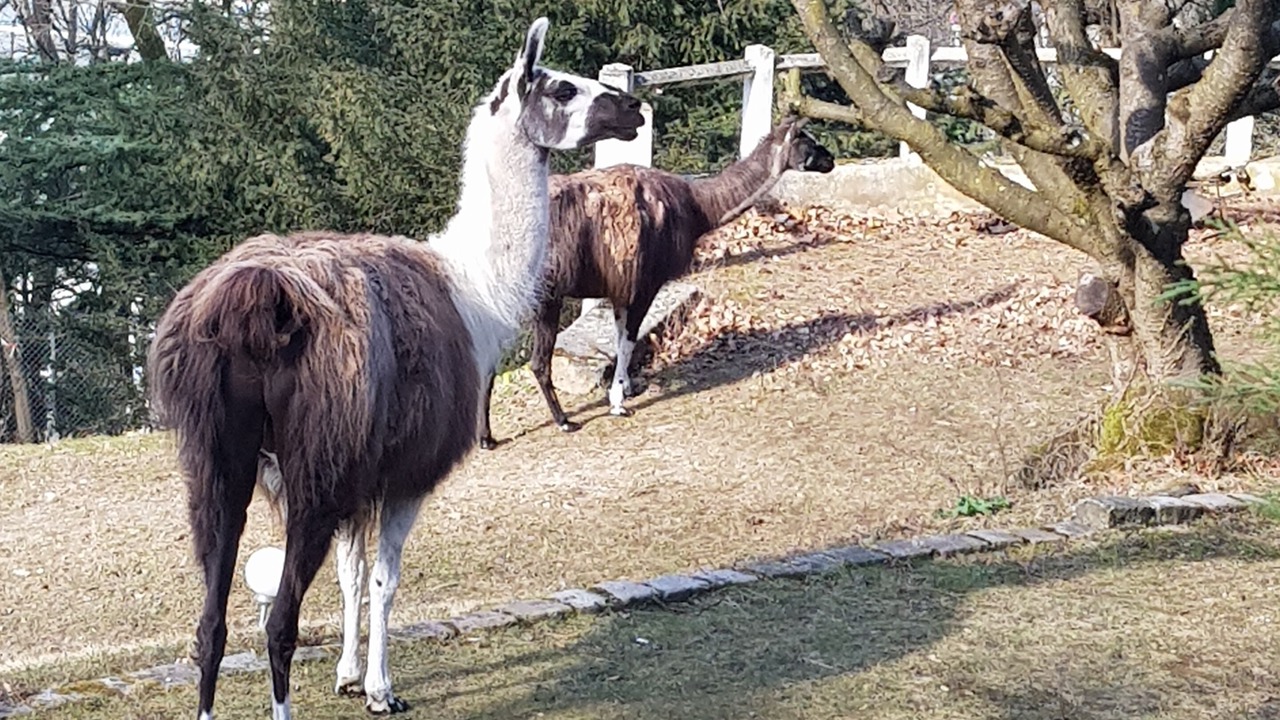 Photo of Outdoor in Oullins