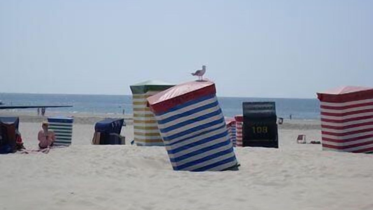 Photo of Others in Borkum