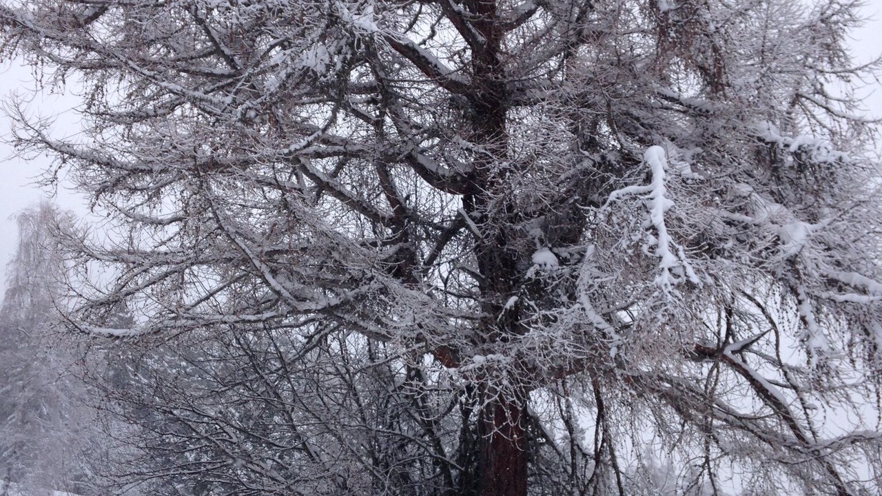 Photo of Outdoor in Saclentse