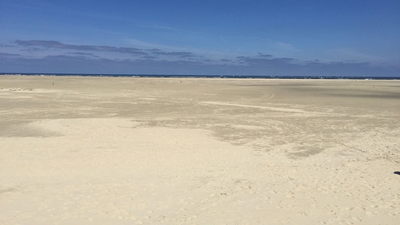Photo of Others in Borkum
