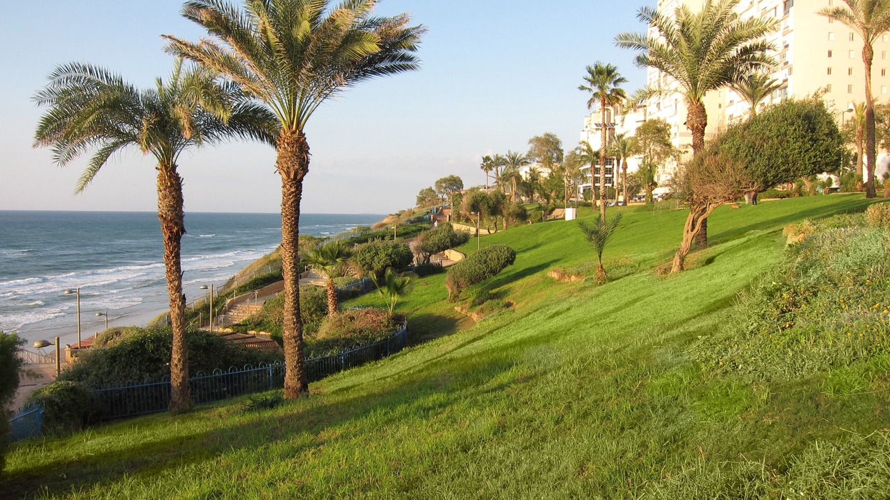 Photo of Others in Netanya