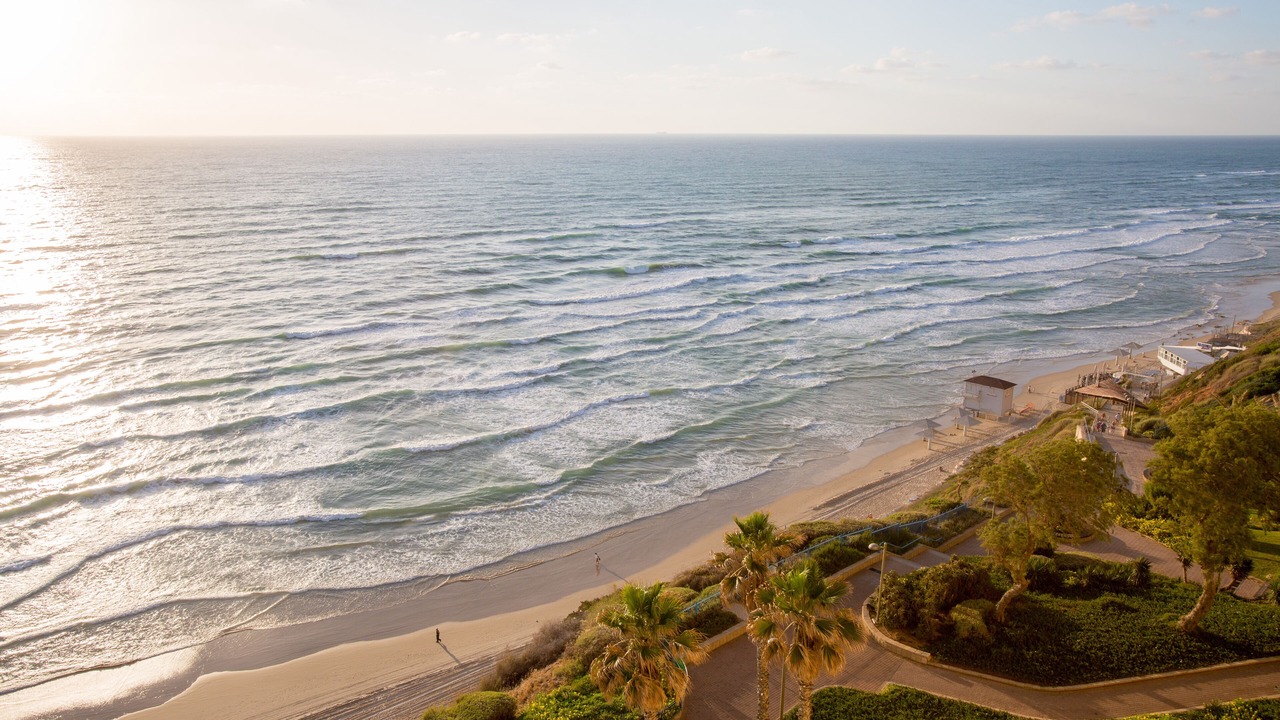 Photo of Others in Netanya