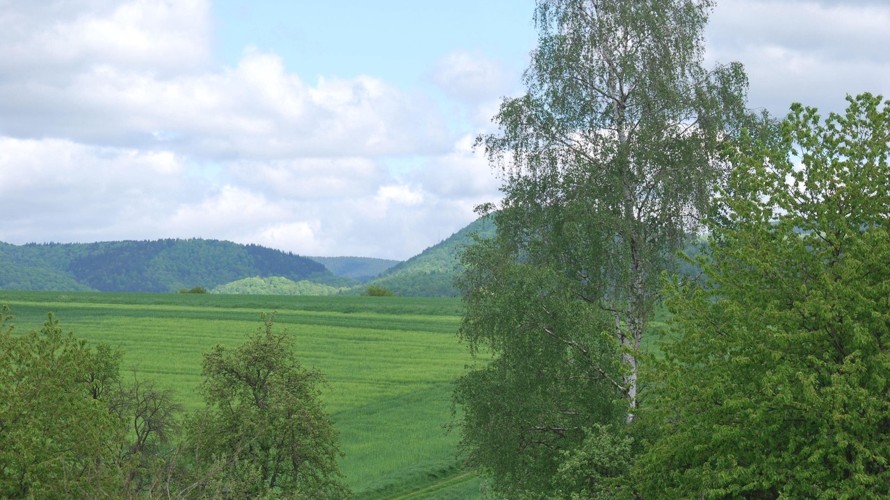 Photo of Others in Walkenried