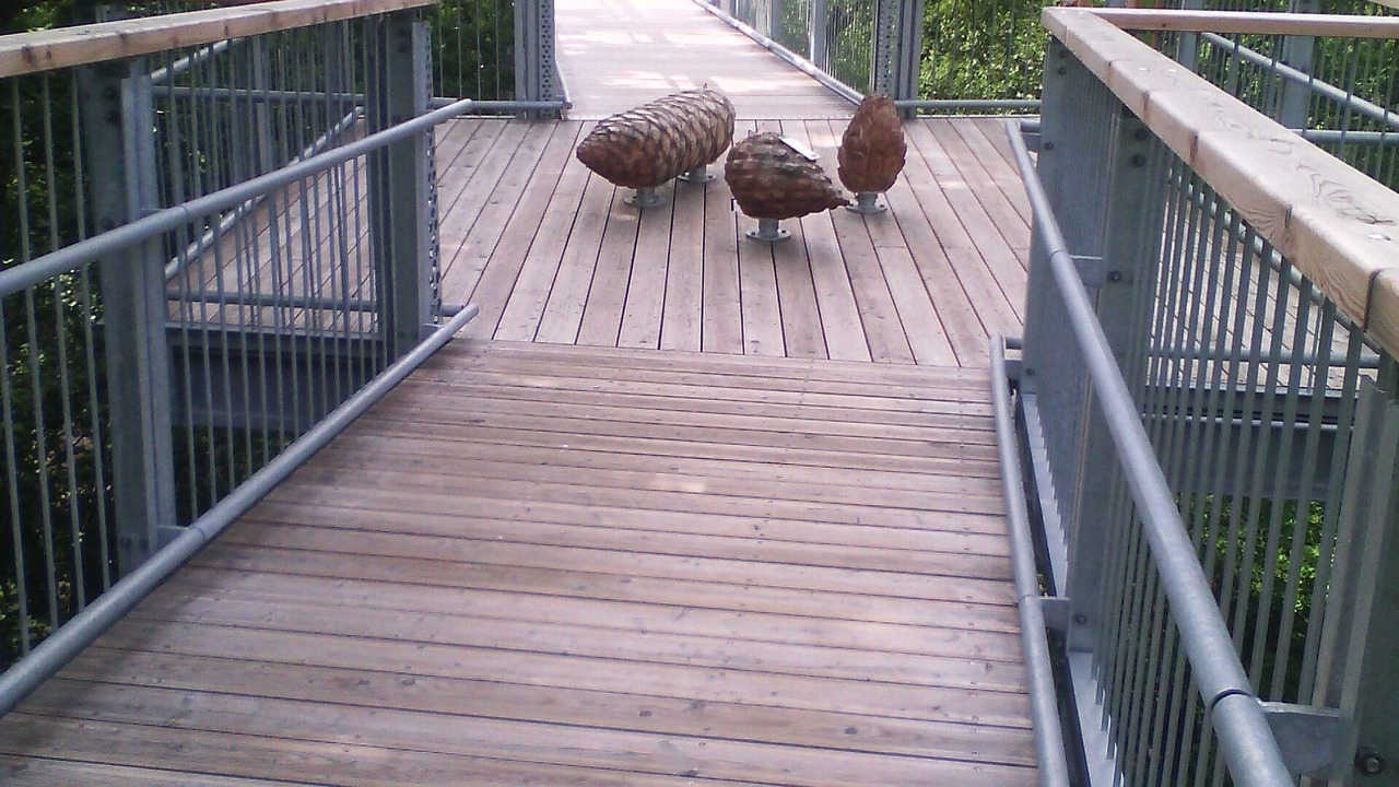 Photo of Outdoor in Walkenried