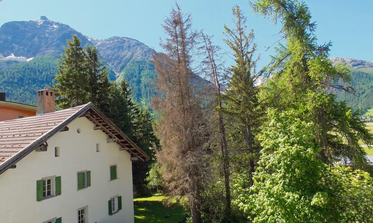 Photo of Outdoor in Madulain