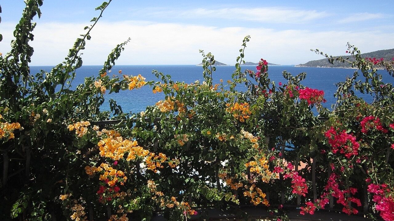 Photo of Others in Kalkan