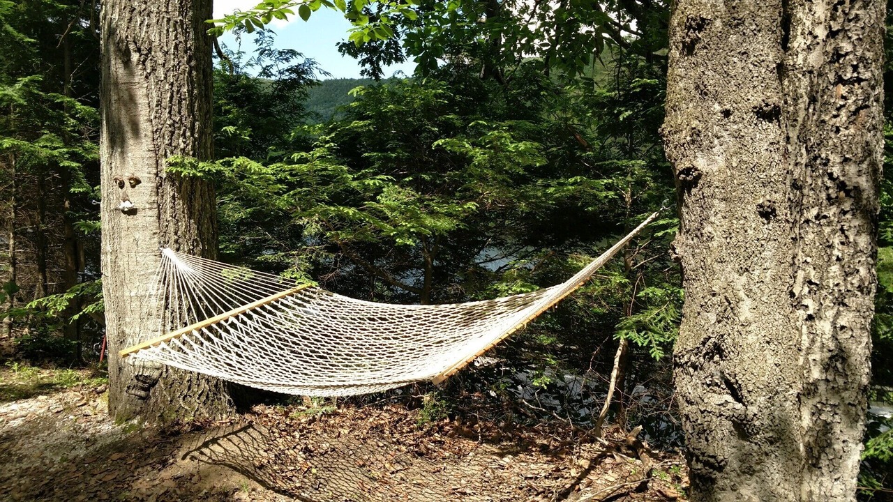 Photo of Outdoor in Plymouth