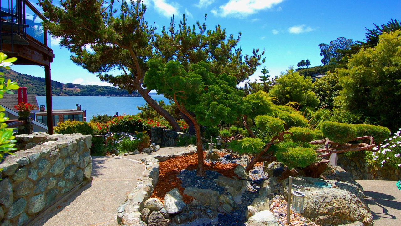 Photo of Outdoor in Belvedere Tiburon