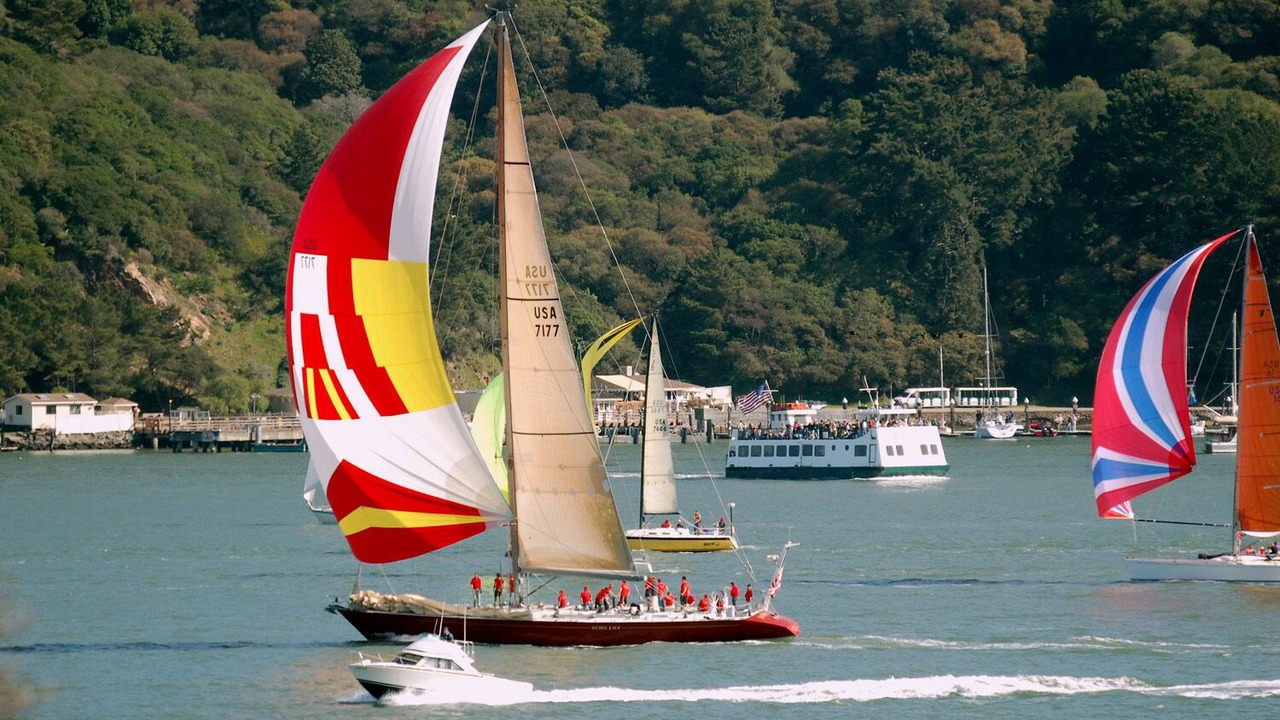 Photo of Others in Belvedere Tiburon