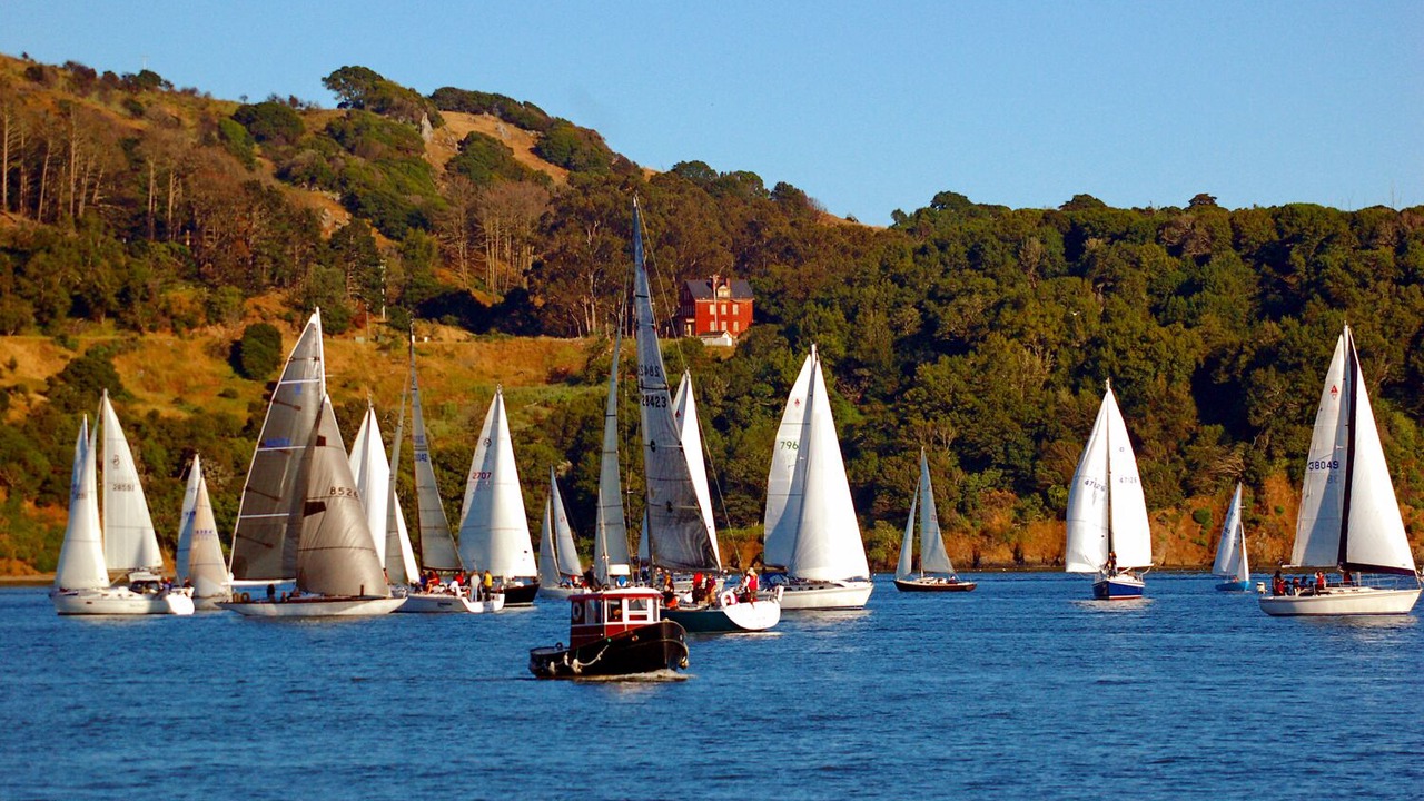 Photo of Others in Belvedere Tiburon