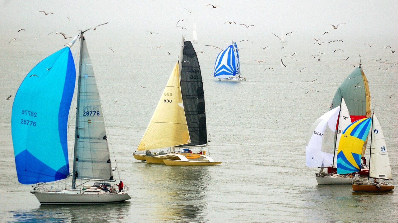 Photo of Others in Belvedere Tiburon