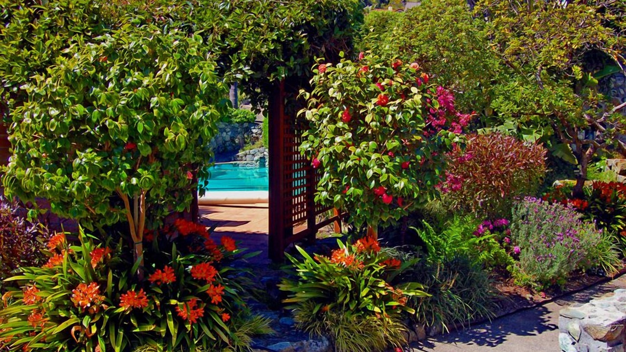 Photo of Outdoor in Belvedere Tiburon
