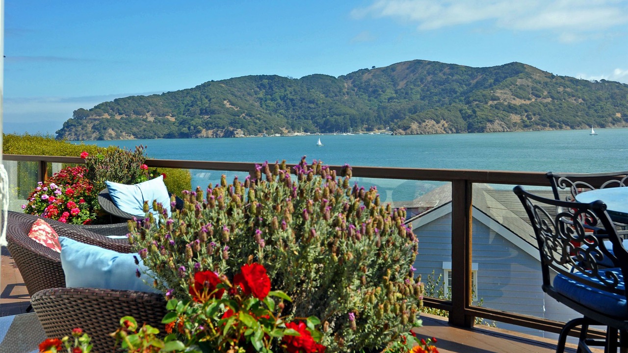 Photo of Others in Belvedere Tiburon