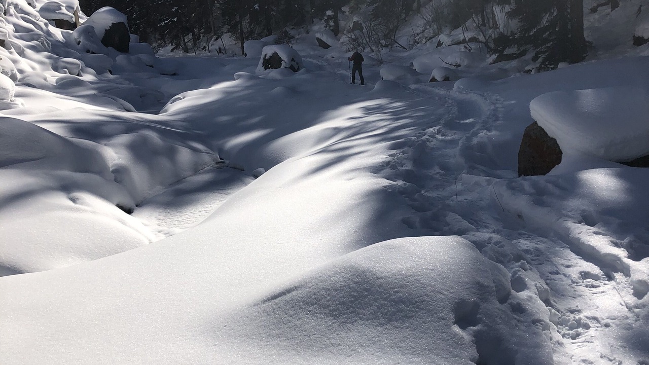 Photo of Others in Silvercreek