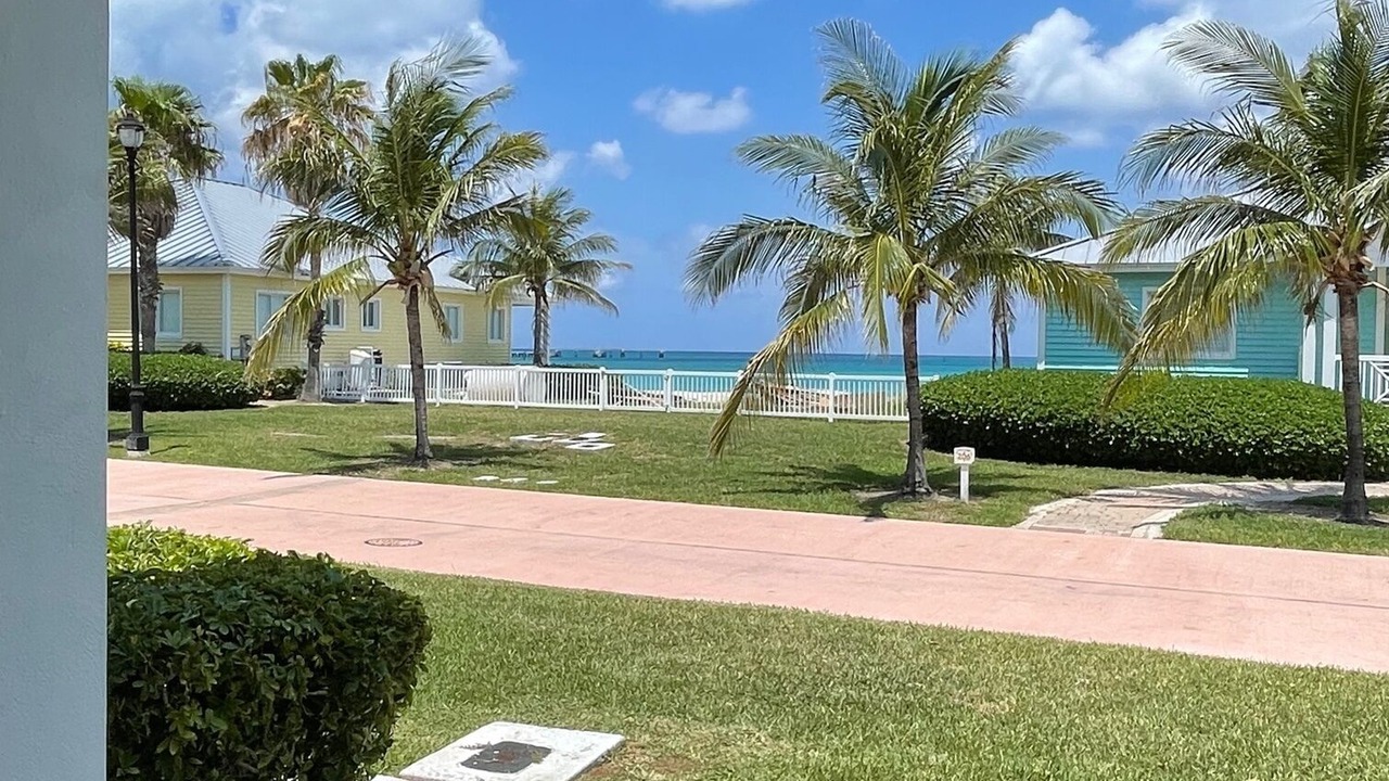 Photo of Outdoor in Alice Town