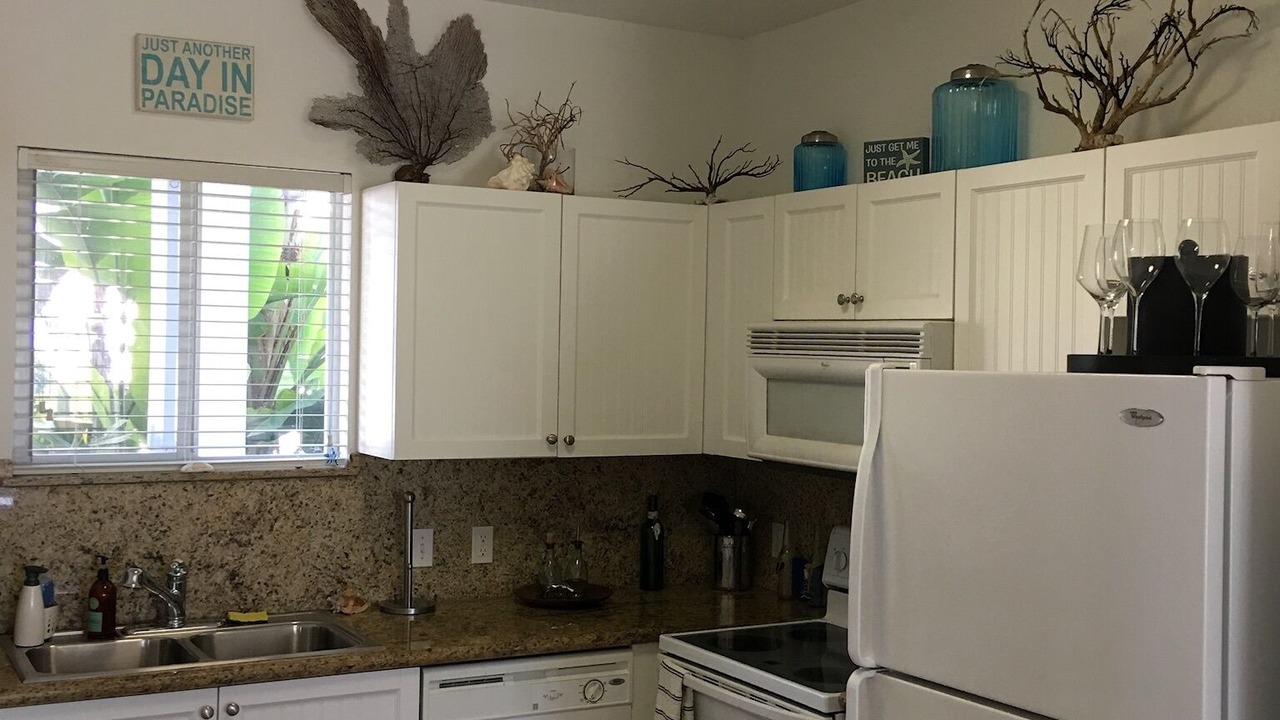 Photo of Kitchen in Alice Town