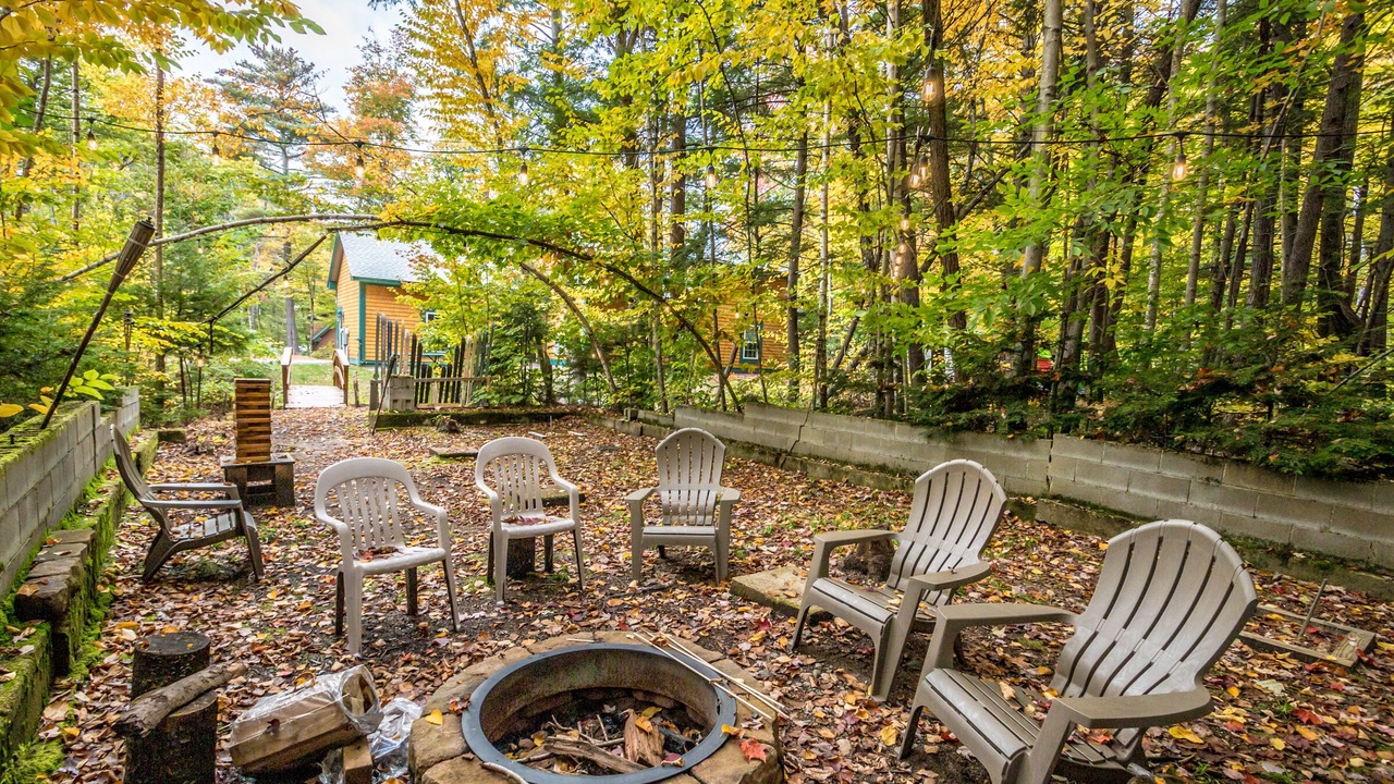 Photo of Outdoor in Intervale