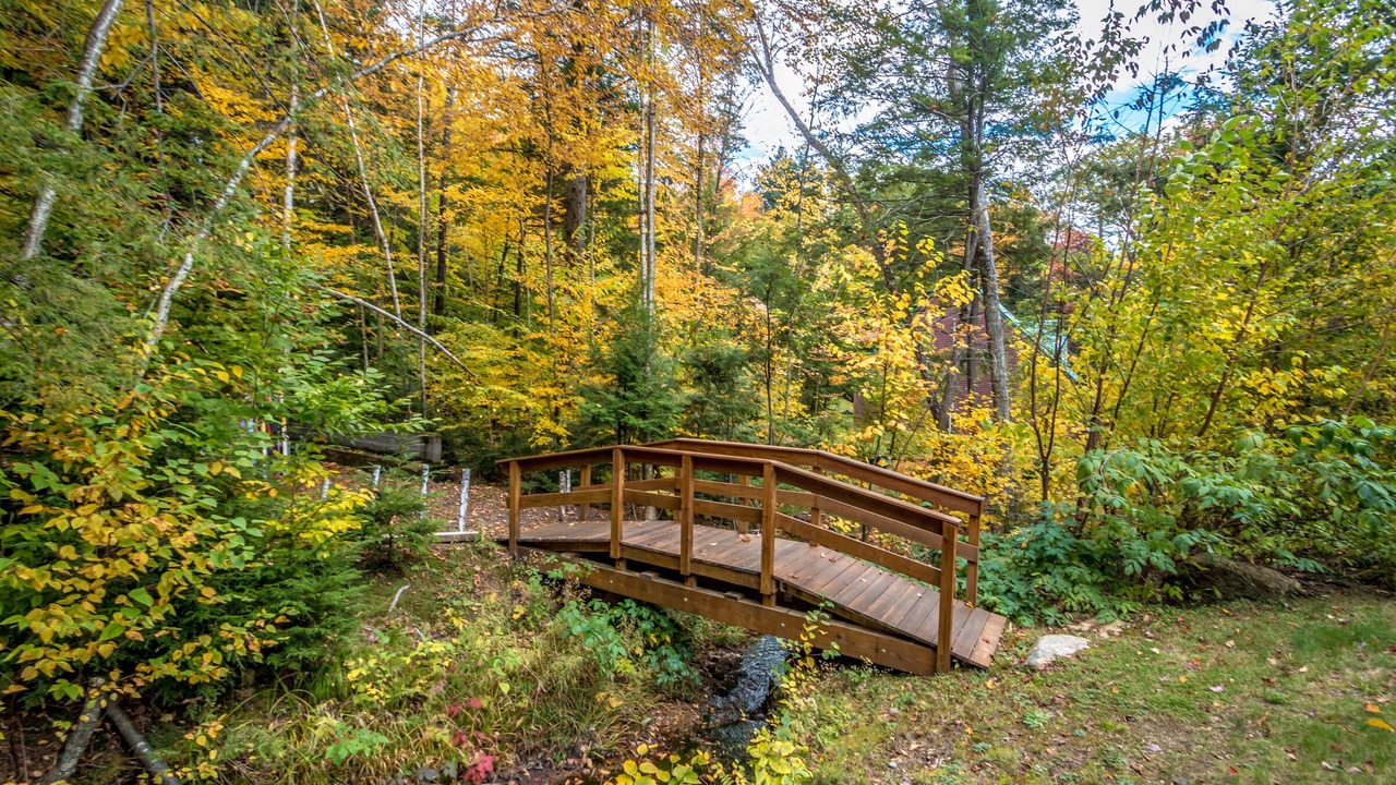 Photo of Outdoor in Intervale
