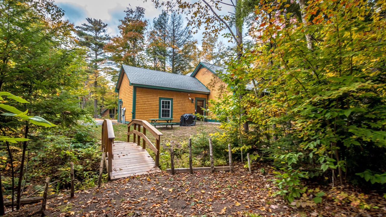 Photo of Outdoor in Intervale