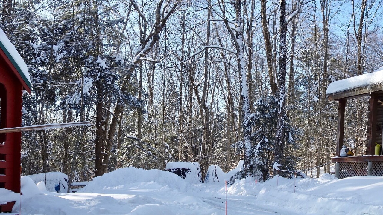 Photo of Outdoor in Chester