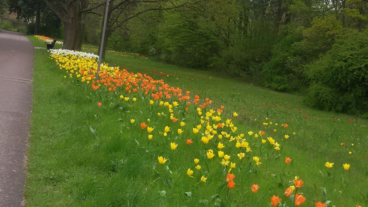 Photo of Outdoor in Buckow
