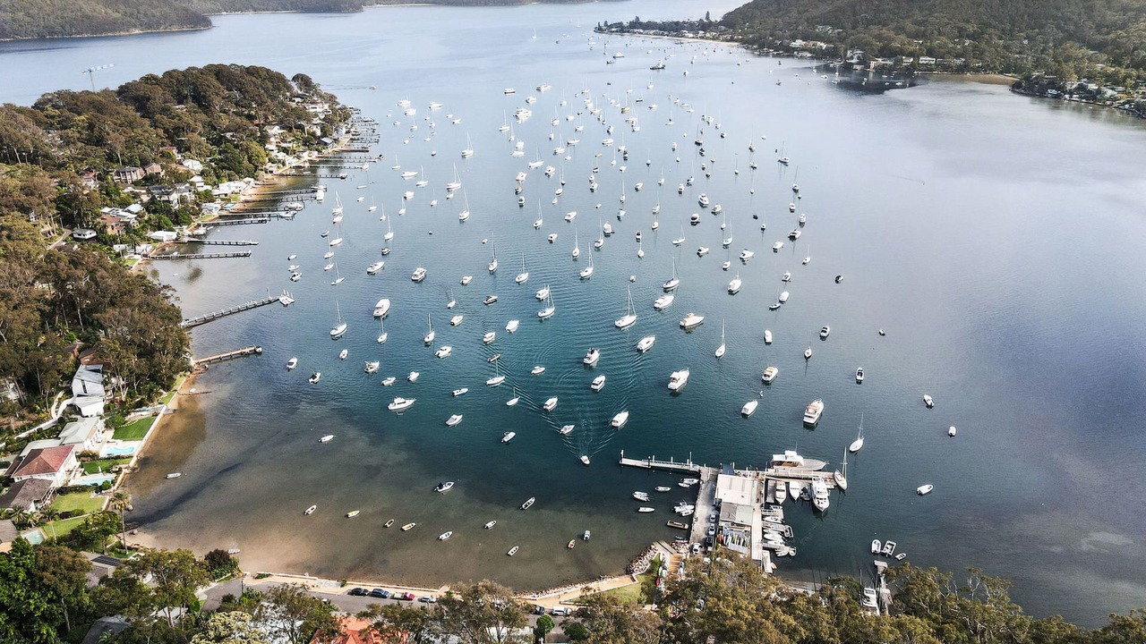 Photo of Others in Avalon Beach