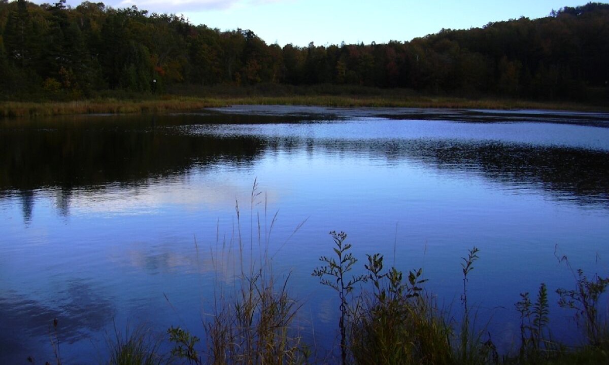 Photo of Outdoor in Stratton and Bromley Ski Areas