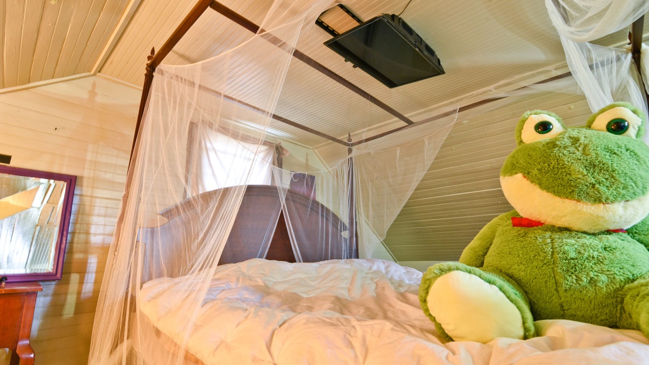 Photo of Bedroom in Algiers Point