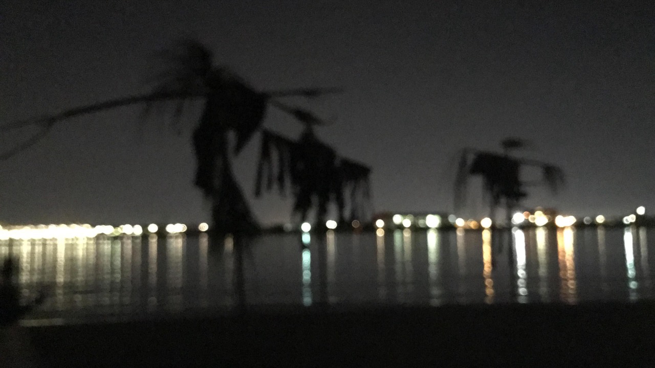 Photo of Others in Algiers Point
