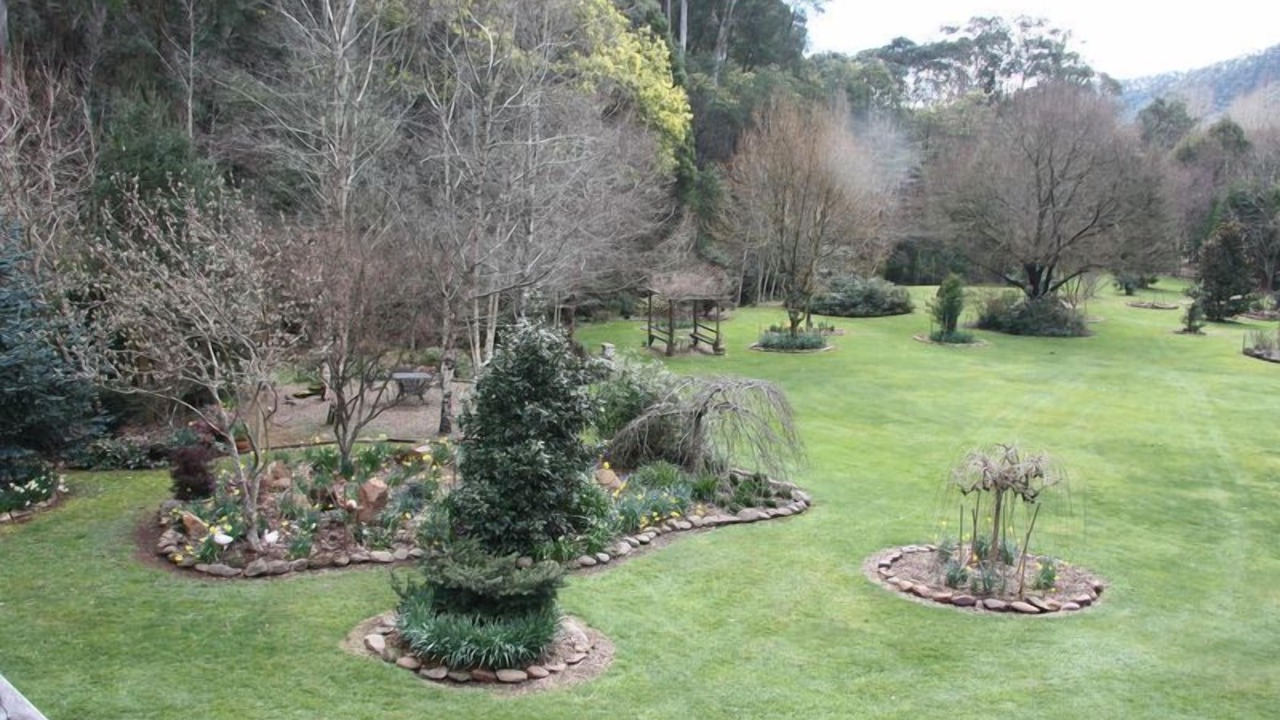 Photo of Outdoor in Harrietville