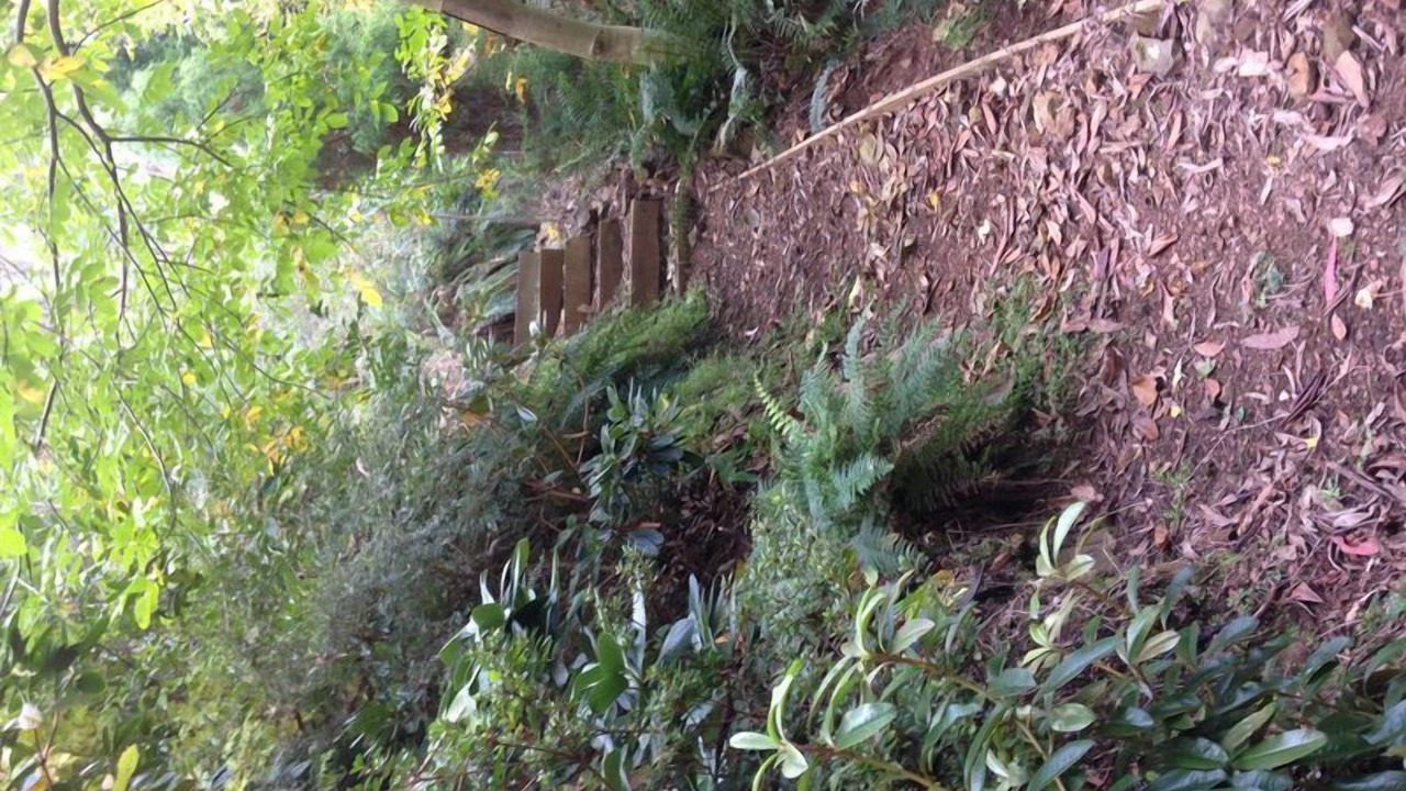 Photo of Outdoor in Harrietville