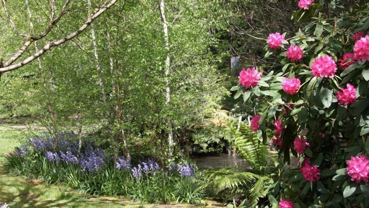 Photo of Outdoor in Harrietville
