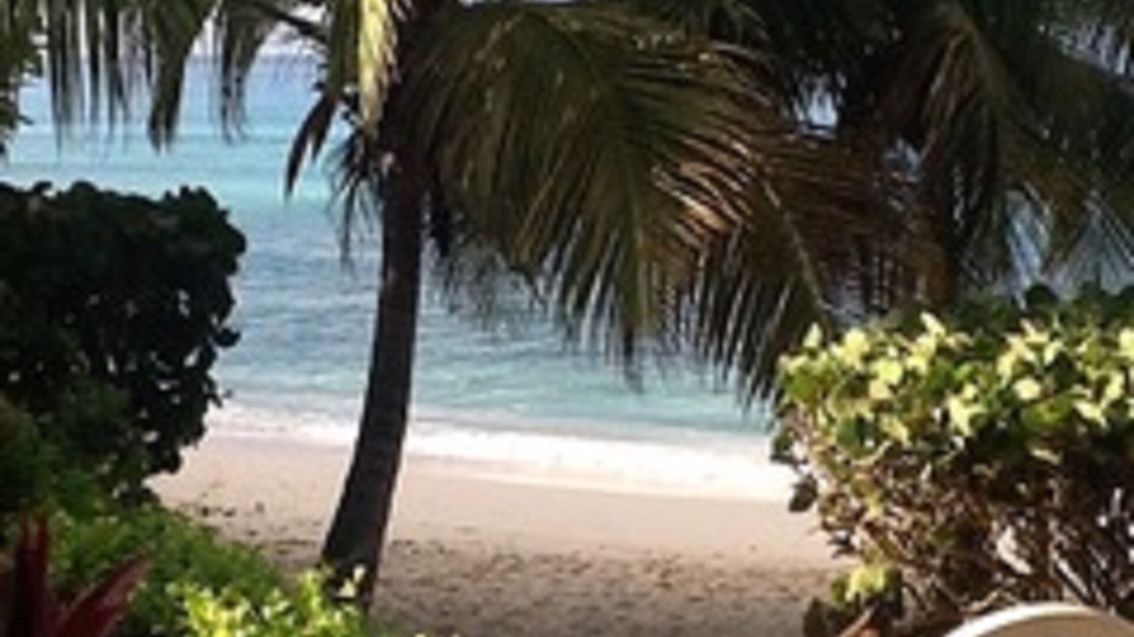 Photo of Others in St. Lawrence Gap