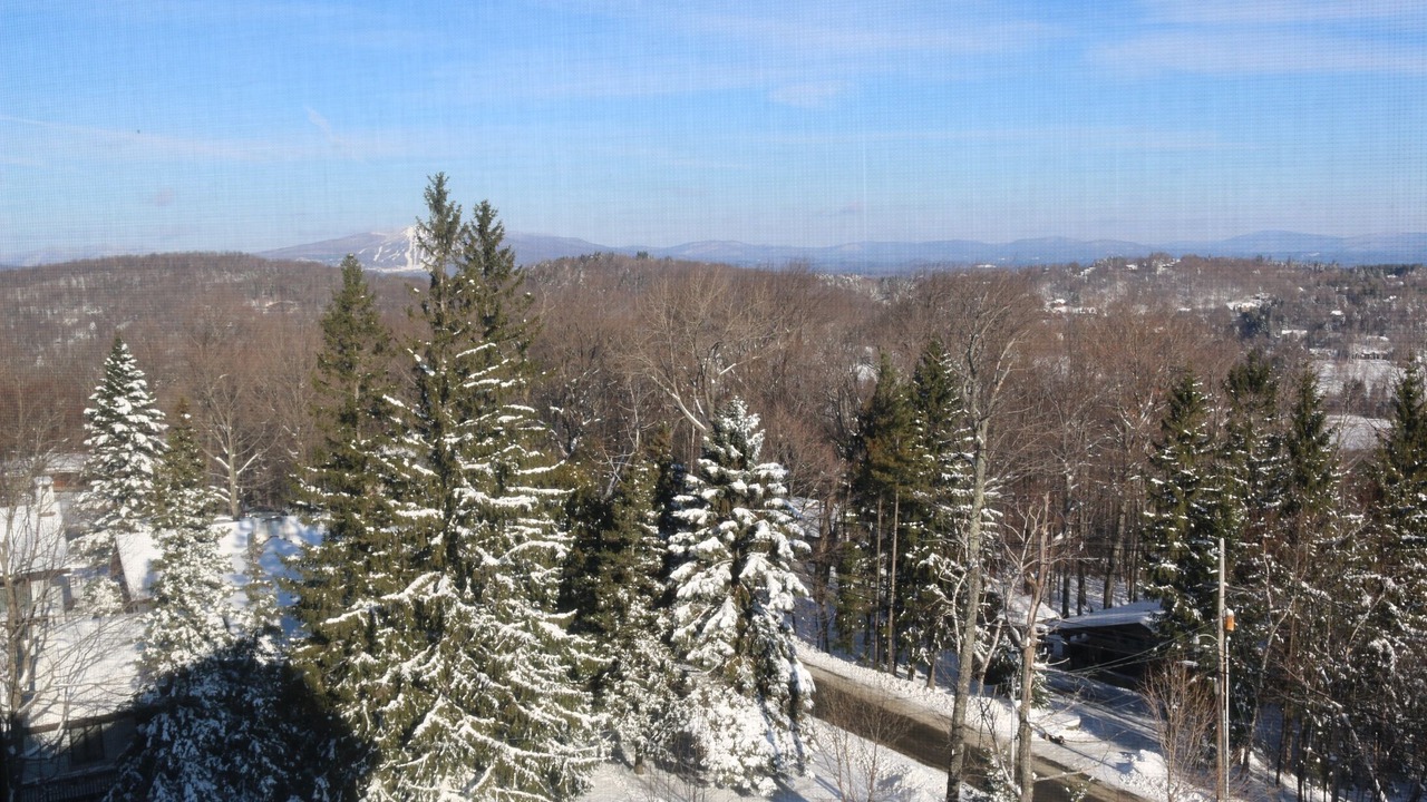 Photo of Others in Stratton Mountain