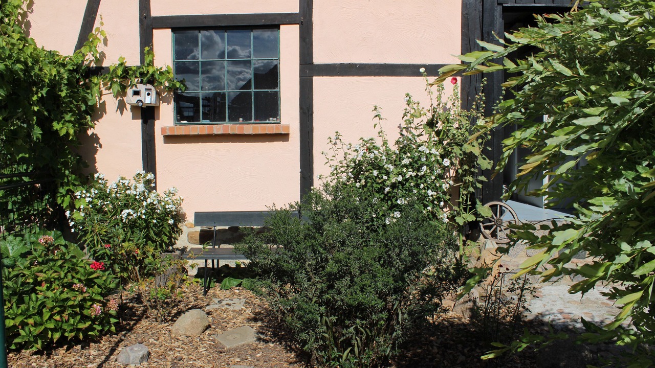 Photo of Outdoor in Muritz