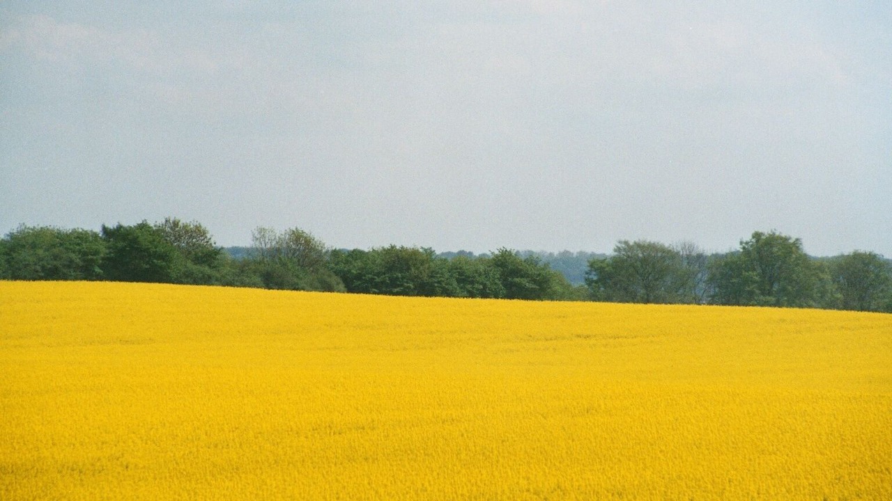 Photo of Others in Muritz