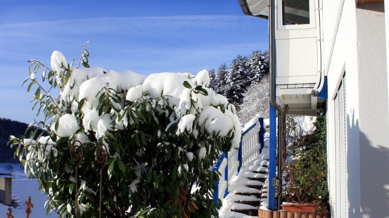 Photo of Outdoor in Schuttertal