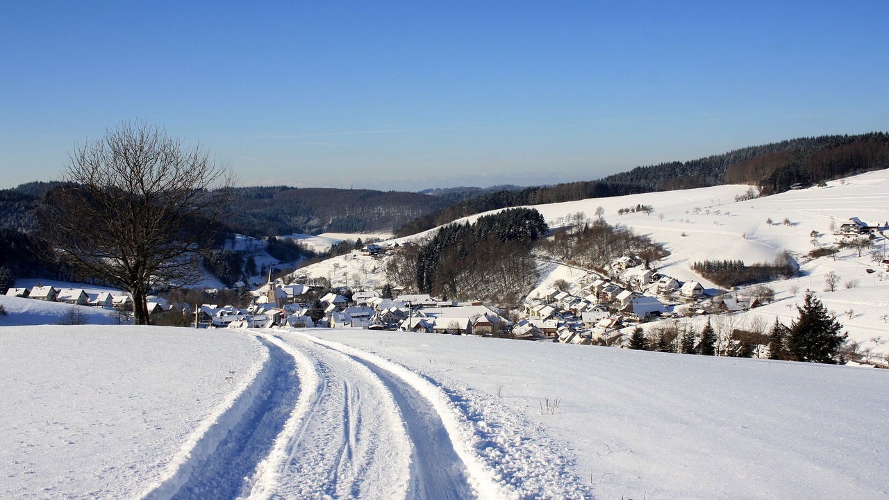 Photo of Others in Schuttertal