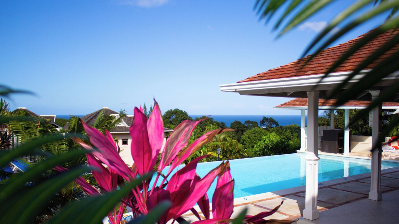 Photo of Others in Montego Bay