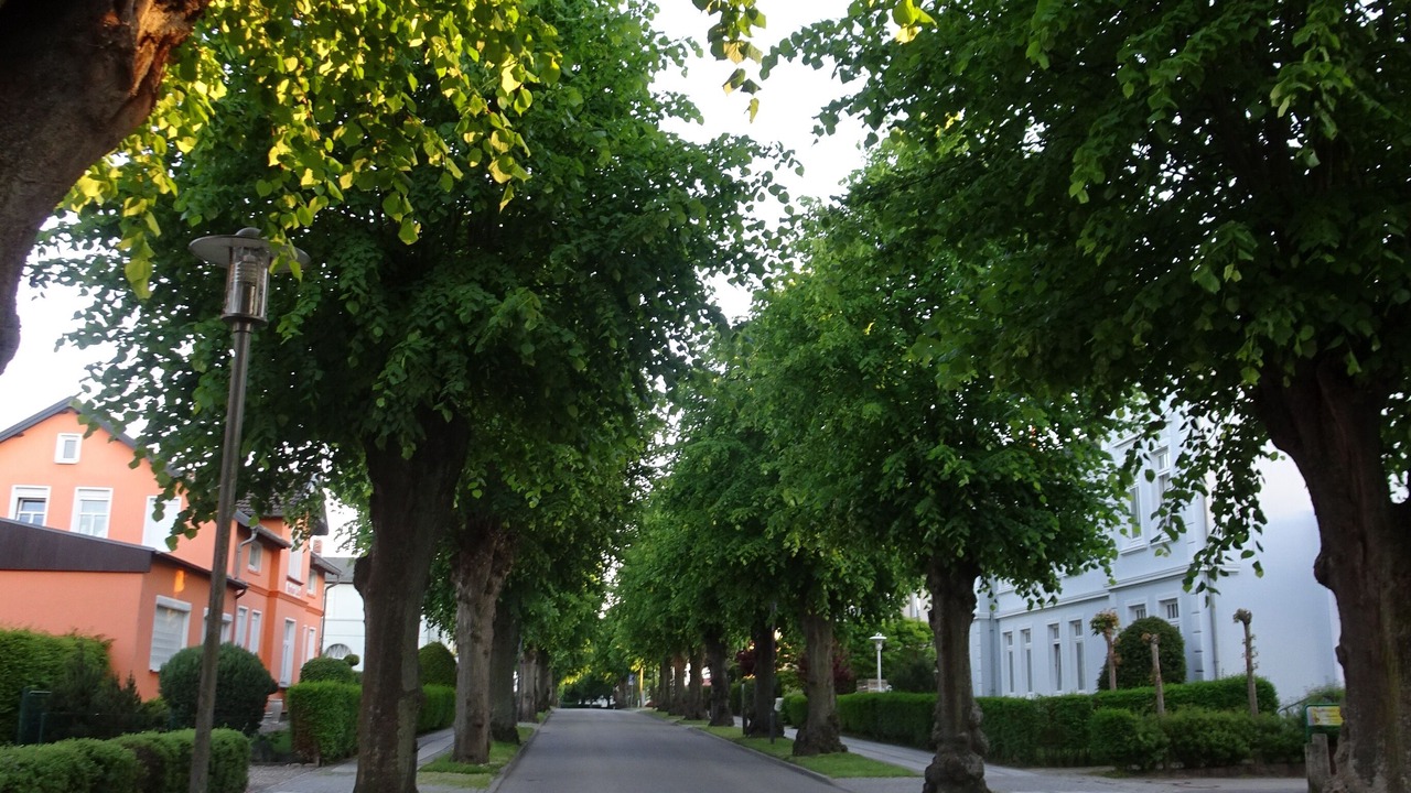Photo of Outdoor in Kuhlungsborn Ost