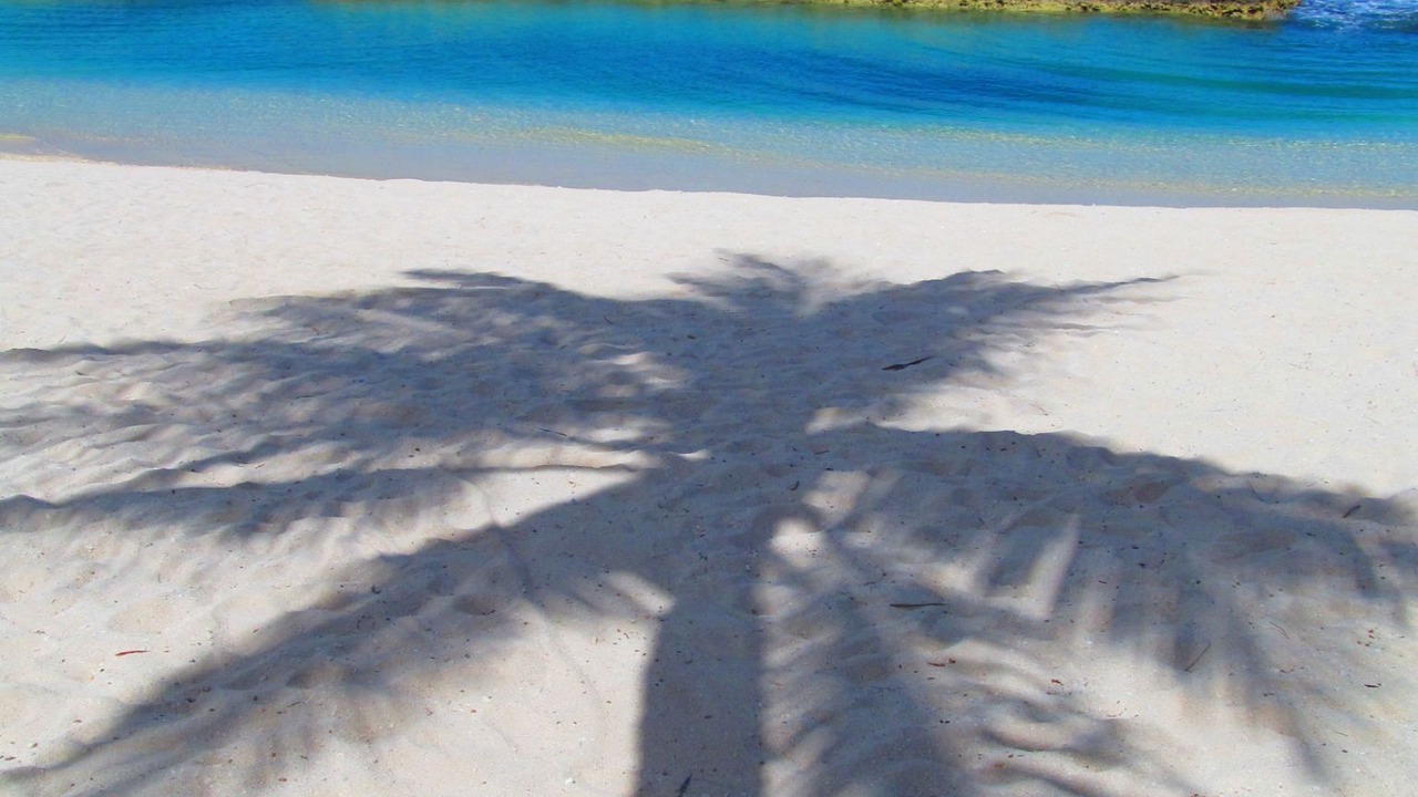 Photo of Others in Old Man Bay