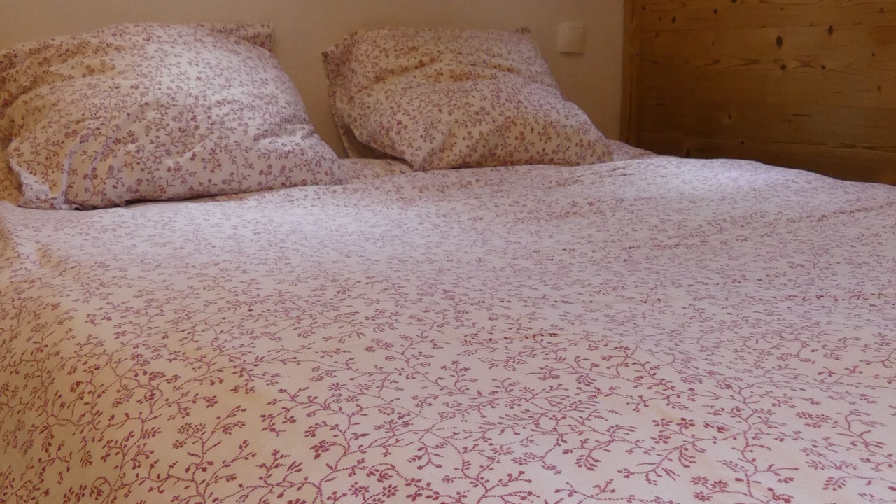 Photo of Bedroom in Les Brevieres