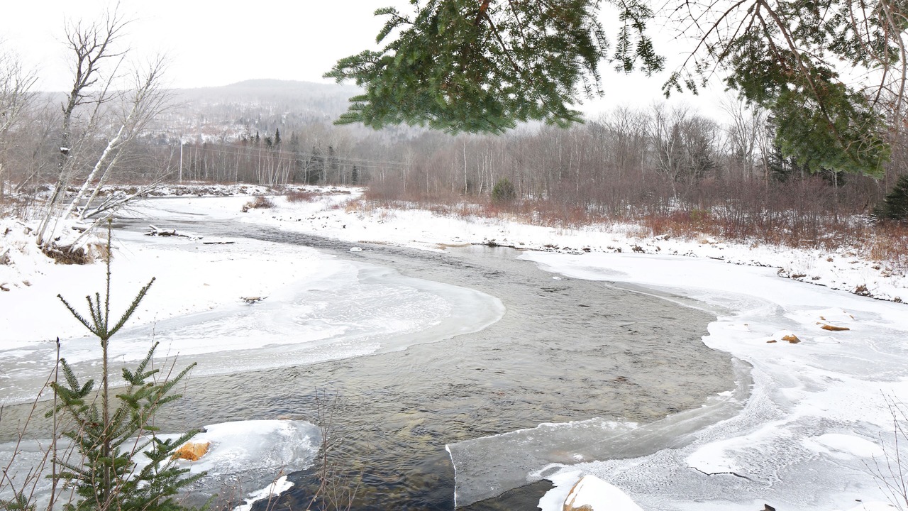 Photo of Others in Bretton Woods