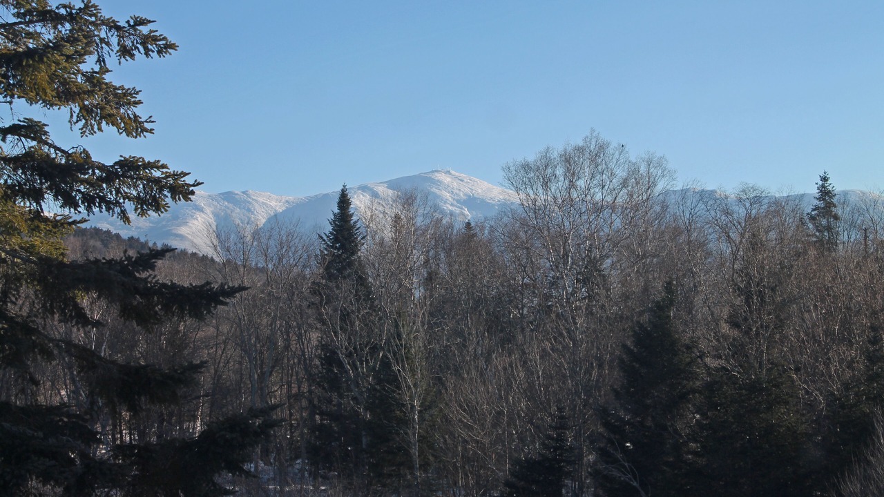 Photo of Bedroom in Bretton Woods