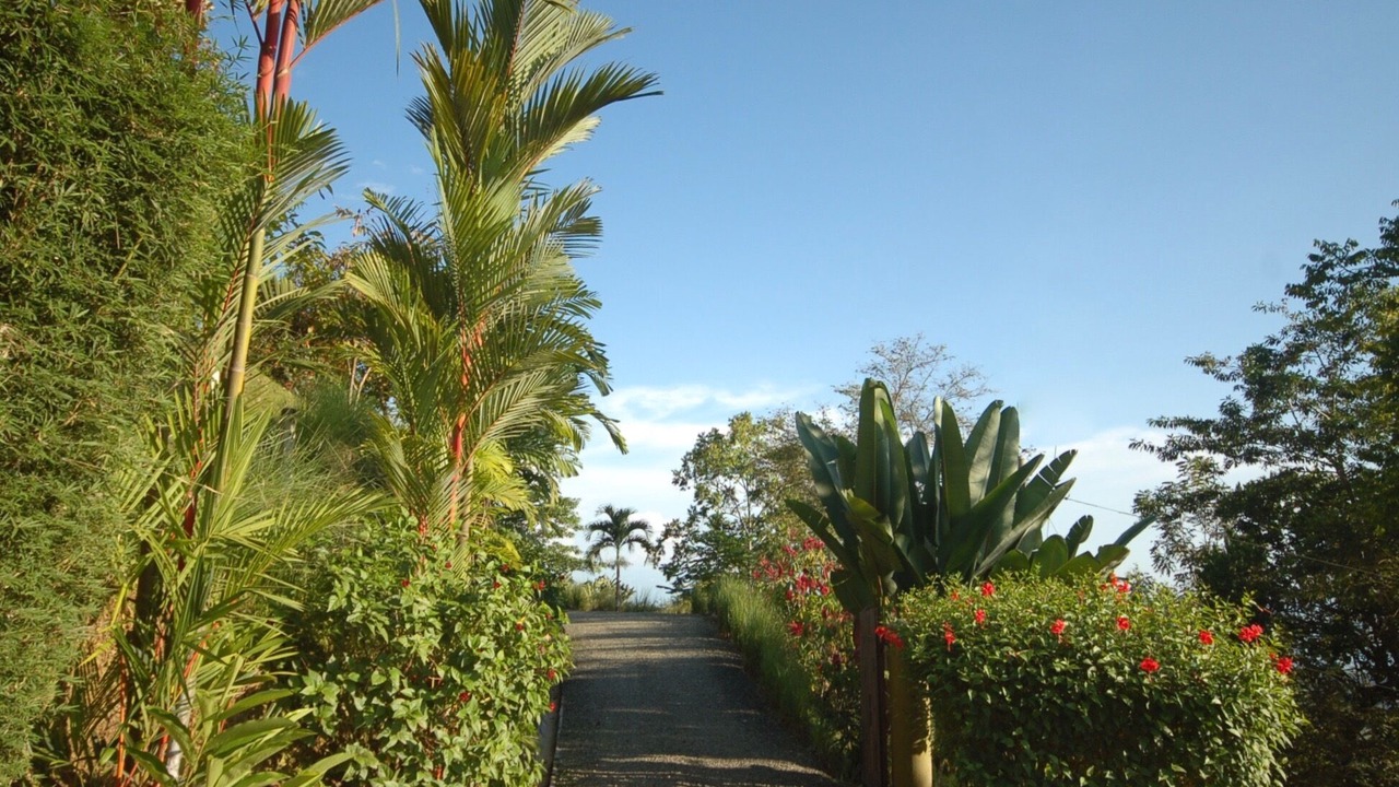 Photo of Others in Uvita