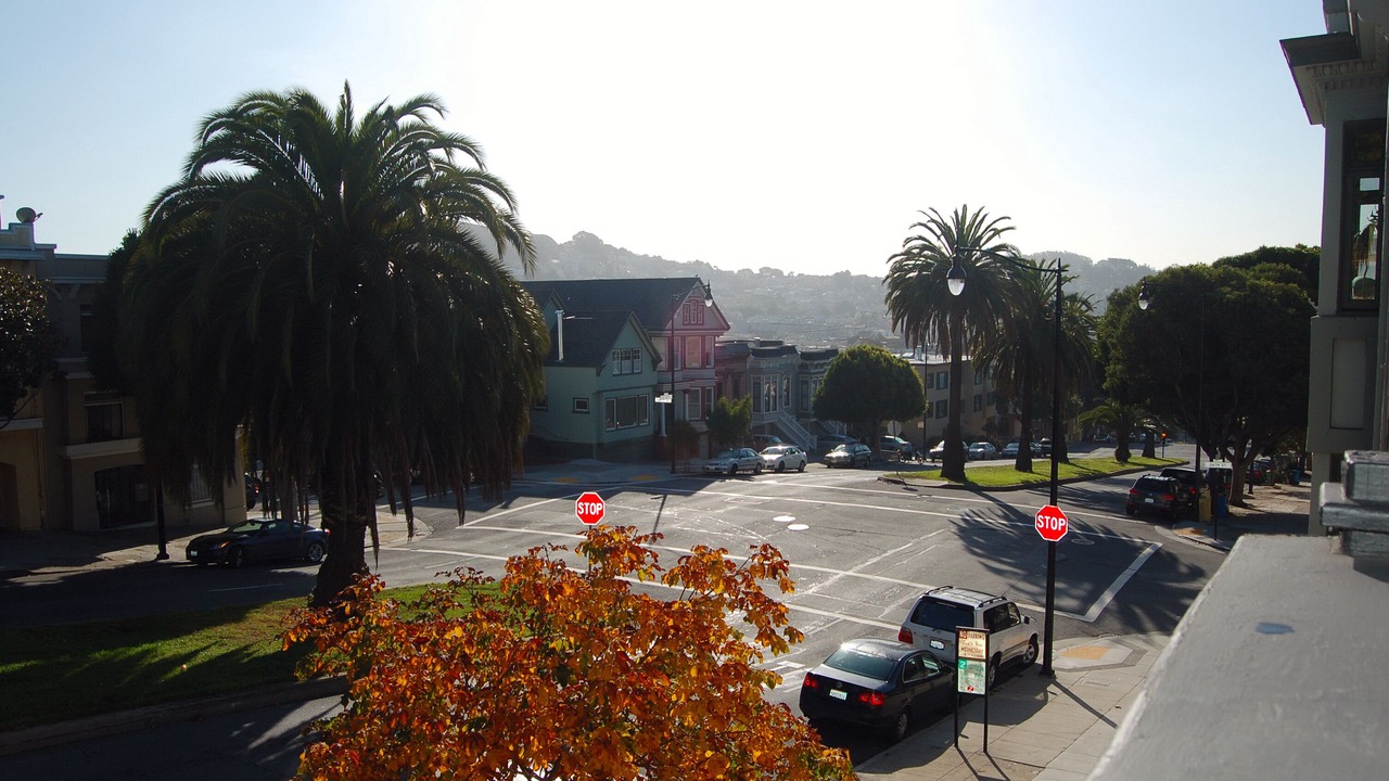Photo of Others in Noe Valley